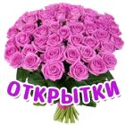 Открытки на все случаи жизни