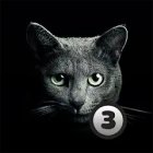 Найди кота 3