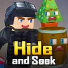 Hide and Seek Hide and Seek
