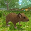 Симулятор мыши: лес и дом