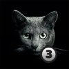 Найди кота 3