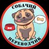 Собачий переводчик