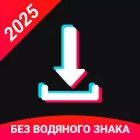 Скачать видео с ТТ без водяного знака