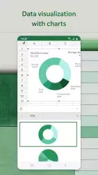 Microsoft Excel