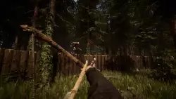 Sons of the forest (Сыновья леса)