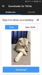 Скачать из Тик Ток видео