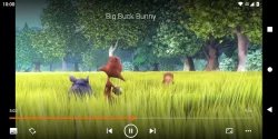 VLC media player