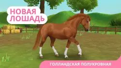 Star Stable Horses