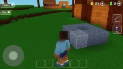 Block Craft 3D: строительство
