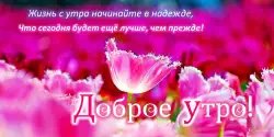 Доброе утро, день, ночь
