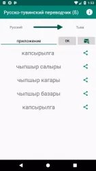 Русско-тувинский переводчик