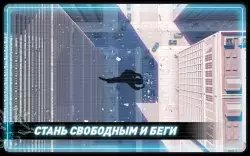 Vector Full