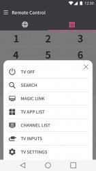 LG TV Plus