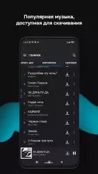 Zaycev.net