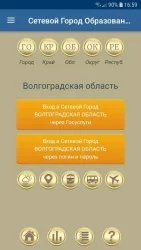 Сетевой город: образование