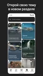 Дзен — видео, статьи, новости