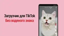 Скачать ТТ (ТикТок) без водяного знака