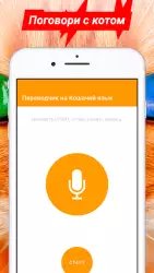 Переводчик на кошачий язык
