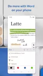 Microsoft Word
