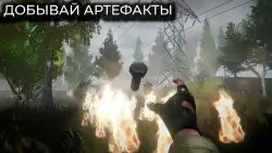T.D.Z. Прибытие — Сталкер