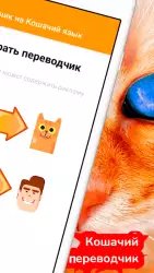 Переводчик на кошачий язык