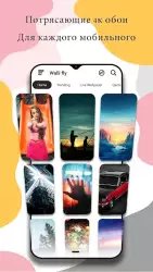 Обои для телефона фон