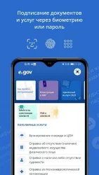 eGov mobile