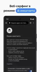 Google Chrome