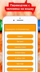 Переводчик на кошачий язык