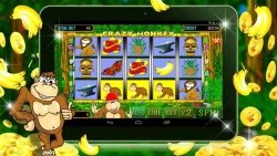 Crazy Monkey (Обезьянки) - игровые автоматы онлайн