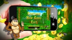 Crazy Monkey (Обезьянки) - игровые автоматы онлайн