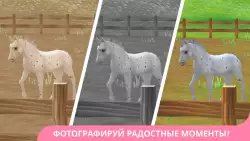Star Stable Horses