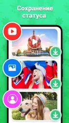 Веб-сканер для WhatsApp