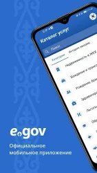 eGov mobile