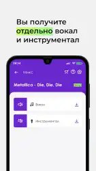 Voix — убрать голос из песни
