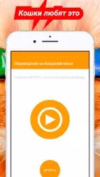 Переводчик на кошачий язык
