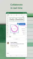 Microsoft Excel