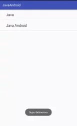 Java