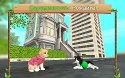 Симулятор кошки онлайн (Cat simulator)
