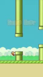 Flappy Bird