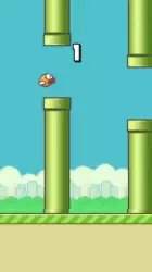 Flappy Bird