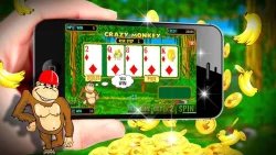 Crazy Monkey (Обезьянки) - игровые автоматы онлайн