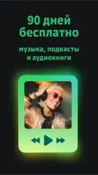 Звук