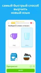 Duolingo