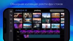 PowerDirector