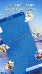 Местный прогноз погоды