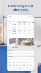Microsoft Word