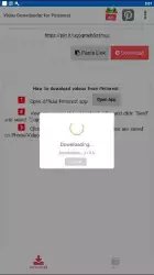 Video Downloader for Pinterest