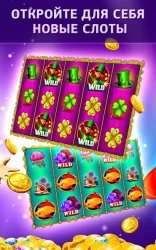 Дельфин – игровые автоматы
