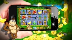 Crazy Monkey (Обезьянки) - игровые автоматы онлайн